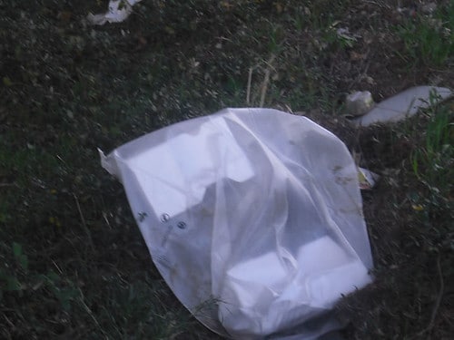 , décharge sauvage; CIMG4957