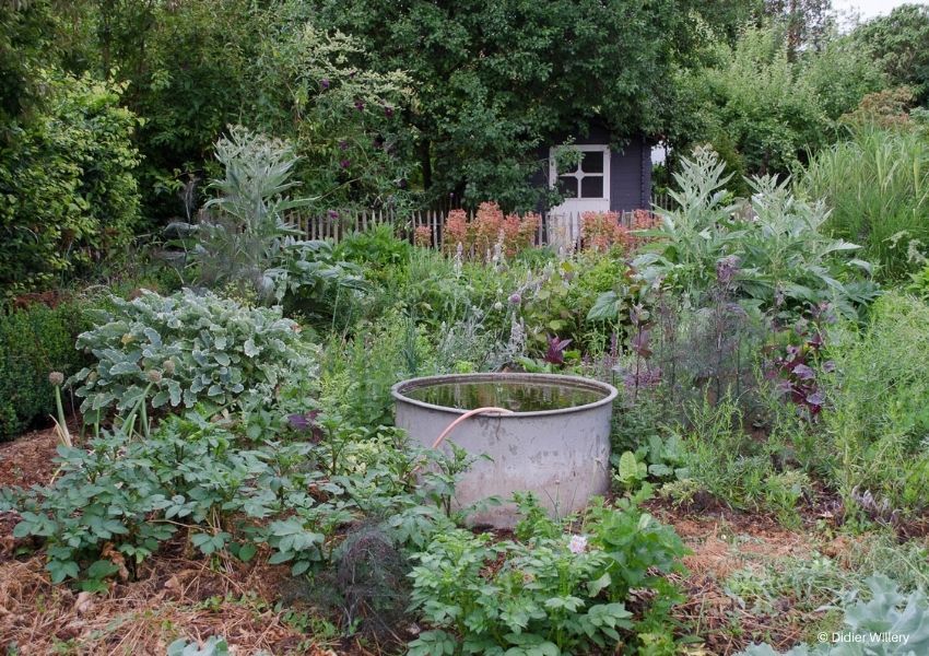 , dépôts sauvages; DRAW ME A GARDEN